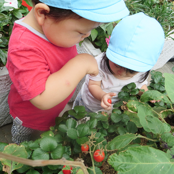 サンフラワーの保育園の過ごし方１